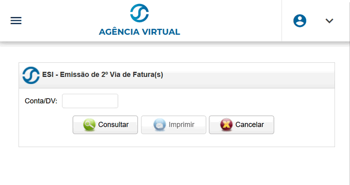 saneago segunda via pelo cpf